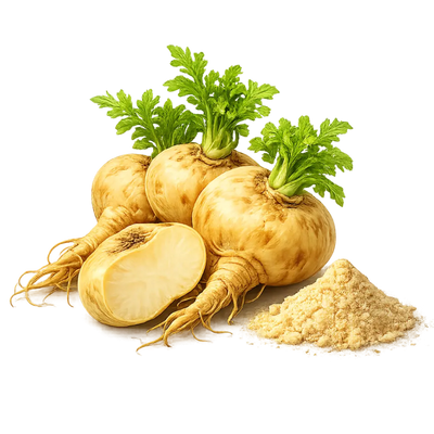 Maca Extract